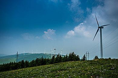 《古墓丽影》新作正使用虚幻5开发 多厂商在使用